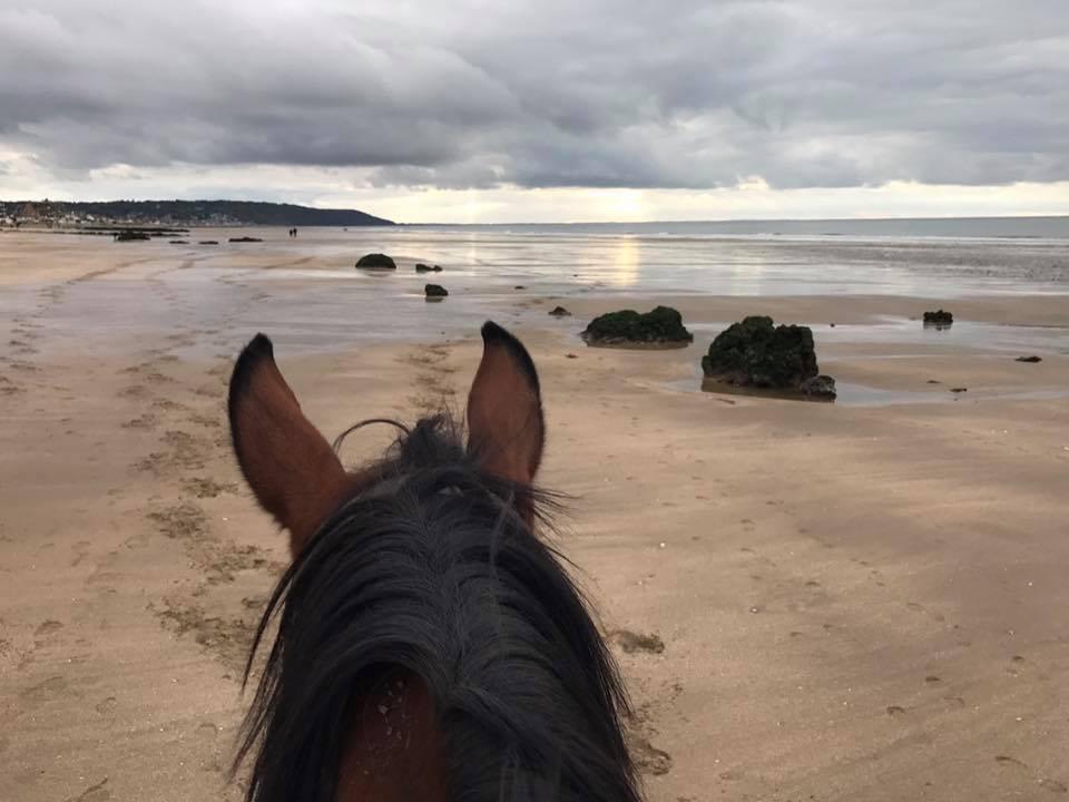 PLAGE A CHEVAL BLONVILLE