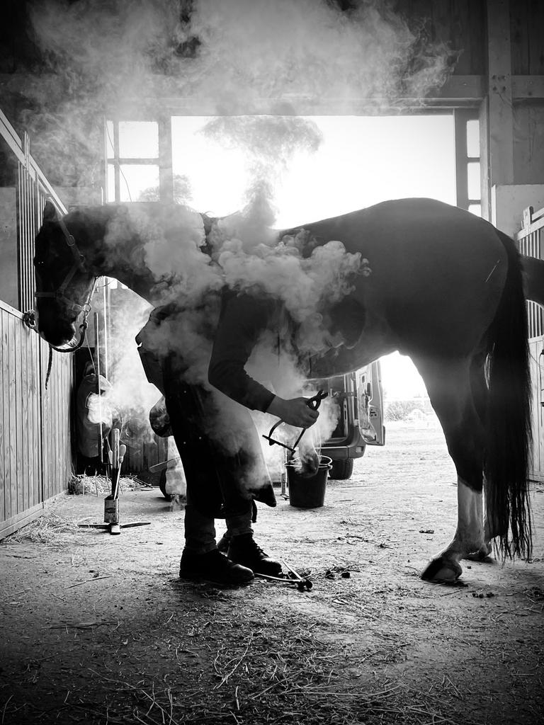 marechal ferrant au centre equestre de blonville