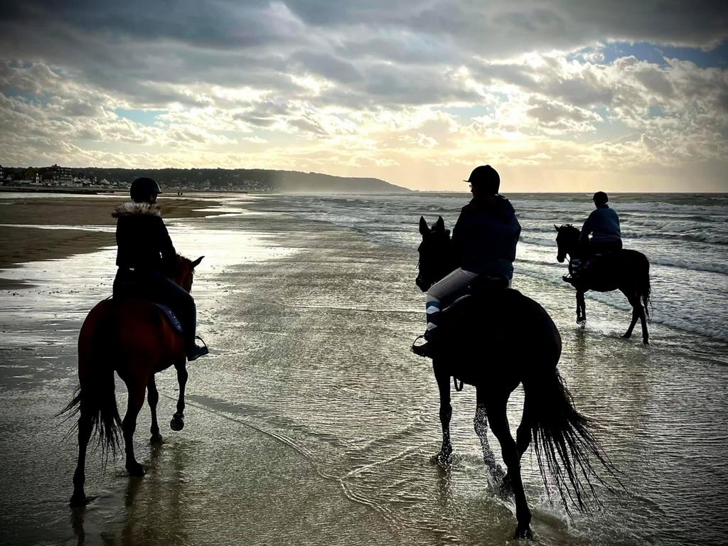 balade a cheval deauville avec le centre equestre de blonville horseback tour on the beach