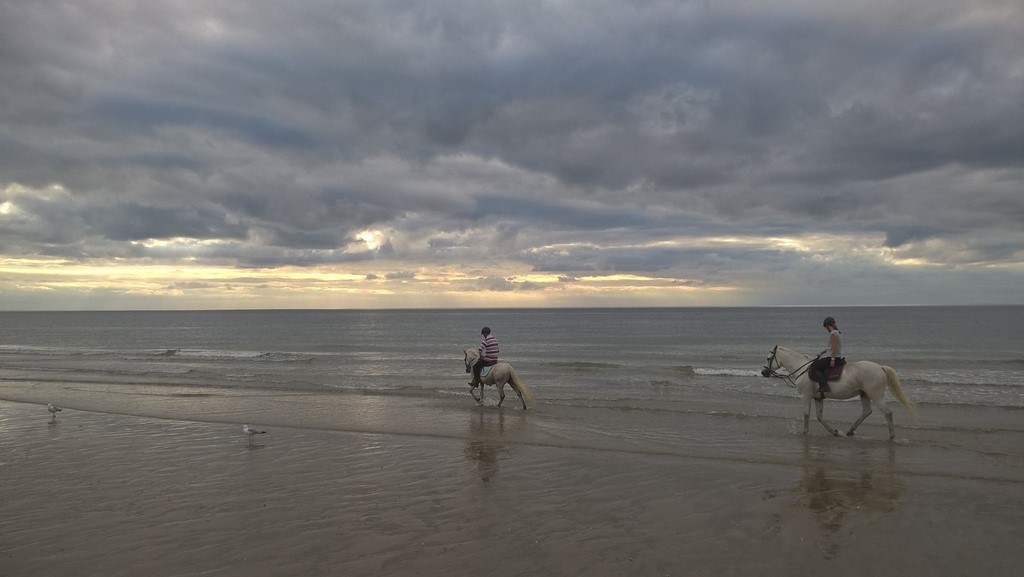 centre équestre blonville sur mer cheval poney promenade plage écuries de blonville deauville villers sur mer normandie #cheval #blonvillesurmer #poney #centreequestre #deauville #deauvillecheval