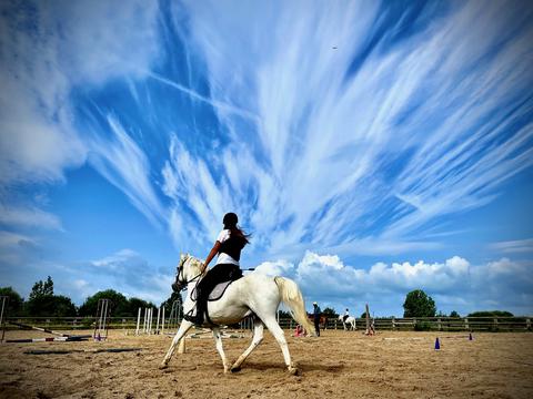 cours d'equitation horse lesson 