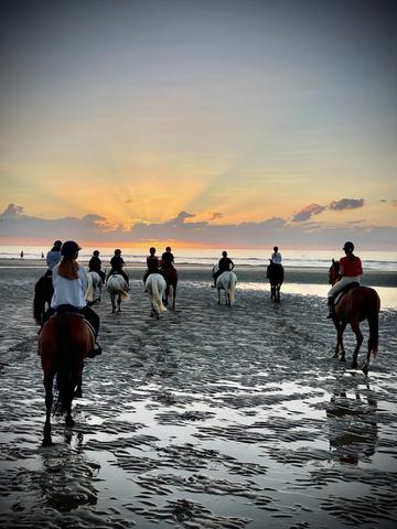 horse sunset vibes promenade a cheval