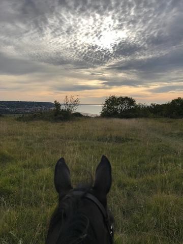 vue du mont canisy promenade a cheval poney loisir deauville 