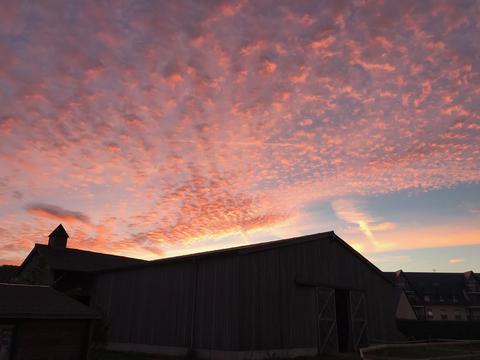 le manège au petit matin centre équestre de blonville