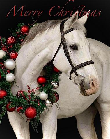 Noël cheval décoré