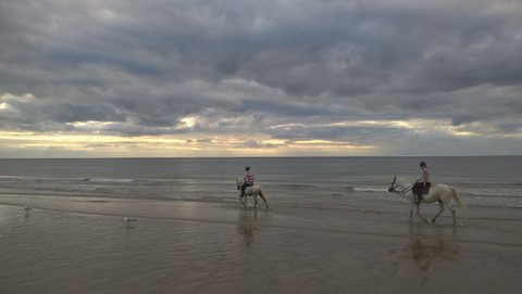 centre équestre blonville sur mer cheval poney promenade plage écuries de blonville deauville villers sur mer normandie #cheval #blonvillesurmer #poney #centreequestre #deauville #deauvillecheval