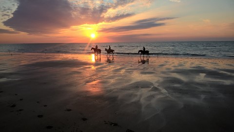 centre équestre blonville sur mer cheval poney promenade plage écuries de blonville deauville villers sur mer normandie #cheval #blonvillesurmer #poney #centreequestre #deauville #deauvillecheval
