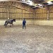 centre équestre blonville sur mer cheval poney promenade plage écuries de blonville deauville villers sur mer normandie #cheval #blonvillesurmer #poney #centreequestre #deauville #deauvillecheval