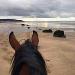 PLAGE A CHEVAL BLONVILLE