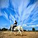 cours d'equitation horse lesson