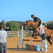 centre équestre blonville sur mer cheval poney promenade plage écuries de blonville deauville villers sur mer normandie #cheval #blonvillesurmer #poney #centreequestre #deauville #deauvillecheval