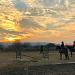 cours du soir centre equestre de blonville stage ffe loisir deauville villers trouville