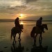 centre équestre blonville sur mer cheval poney promenade plage écuries de blonville deauville villers sur mer normandie #cheval #blonvillesurmer #poney #centreequestre #deauville #deauvillecheval