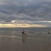 centre équestre blonville sur mer cheval poney promenade plage écuries de blonville deauville villers sur mer normandie #cheval #blonvillesurmer #poney #centreequestre #deauville #deauvillecheval