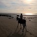 centre équestre blonville sur mer cheval poney promenade plage écuries de blonville deauville villers sur mer normandie #cheval #blonvillesurmer #poney #centreequestre #deauville #deauvillecheval