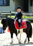 stages cheval poney cours d'equitation blonville deauville trouville villers 